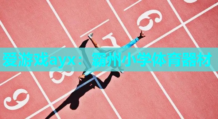 霸州小学体育器材 霸州小学体育器材