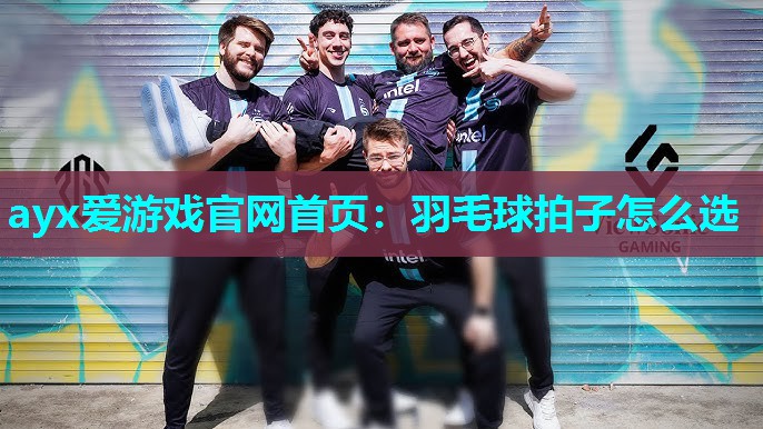 羽毛球拍子怎么选 羽毛球拍子怎么选