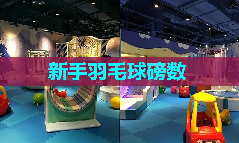 新手羽毛球磅数 新手羽毛球磅数