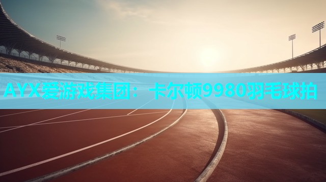 卡尔顿9980羽毛球拍 卡尔顿9980羽毛球拍