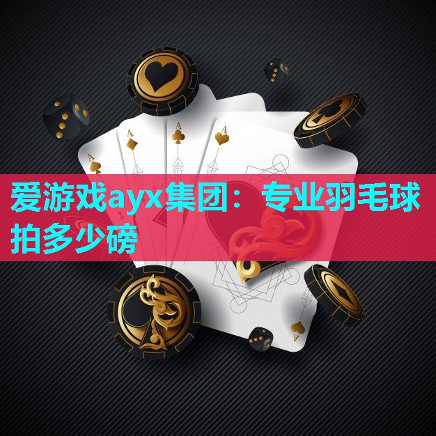 专业羽毛球拍多少磅 专业羽毛球拍多少磅