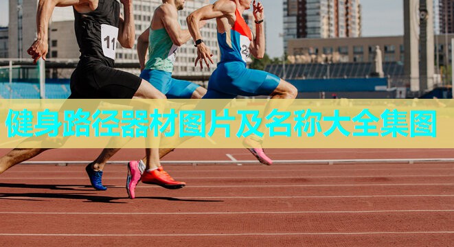 健身路径器材图片及名称大全集图 健身路径器材图片及名称大全集图