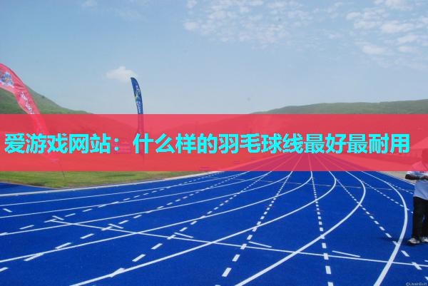 什么样的羽毛球线最好最耐用 什么样的羽毛球线最好最耐用