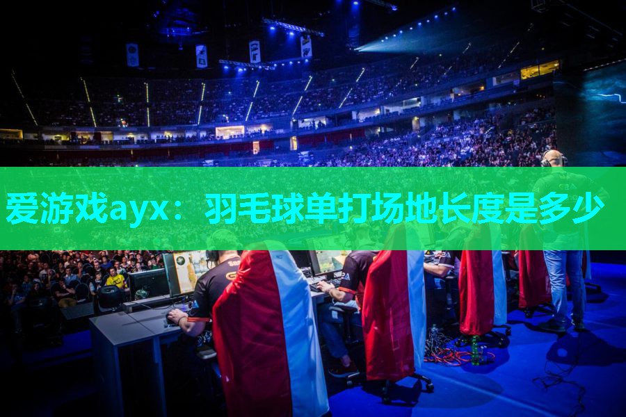 羽毛球单打场地长度是多少 羽毛球单打场地长度是多少
