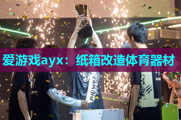 纸箱改造体育器材 纸箱改造体育器材