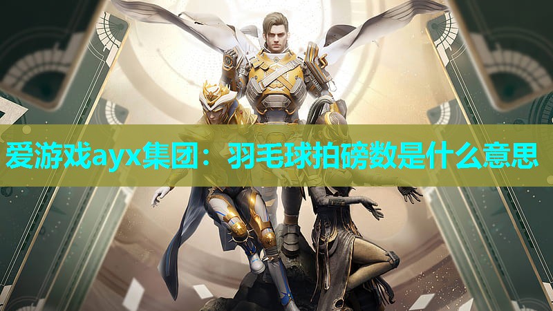 羽毛球拍磅数是什么意思 羽毛球拍磅数是什么意思