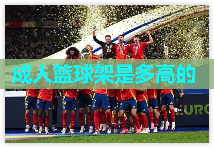 成人篮球架是多高的 成人篮球架是多高的