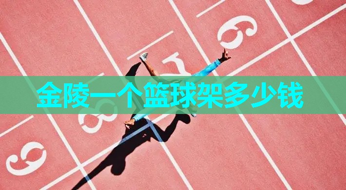 金陵一个篮球架多少钱 金陵一个篮球架多少钱