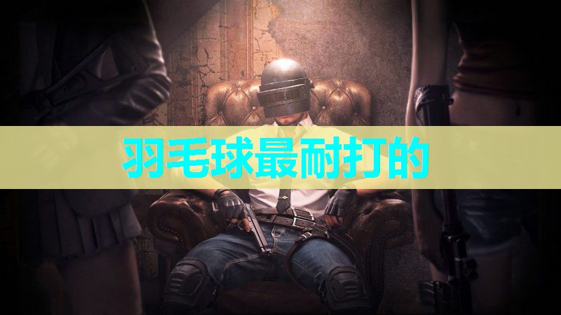 羽毛球最耐打的 羽毛球最耐打的