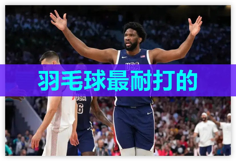 羽毛球最耐打的 羽毛球最耐打的