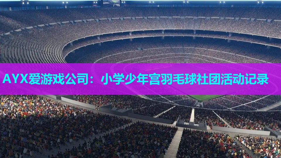 小学少年宫羽毛球社团活动记录 小学少年宫羽毛球社团活动记录