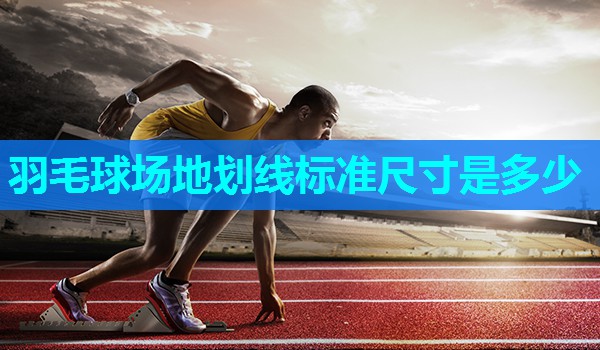 羽毛球场地划线标准尺寸是多少
