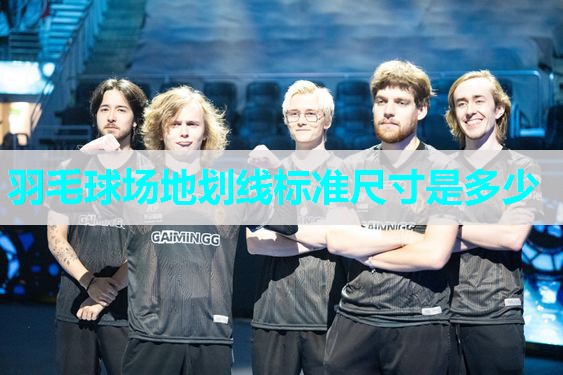 羽毛球场地划线标准尺寸是多少